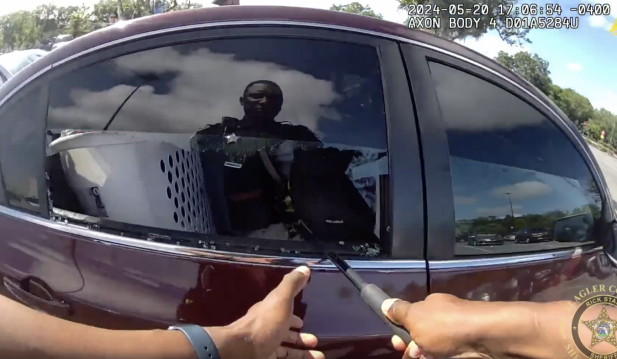 Deputies Shatter Car Window