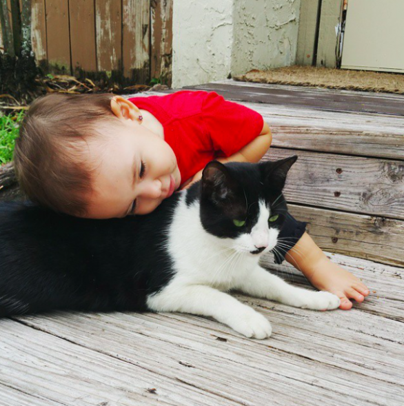 National Hug A Cat Day: See How These Cats Are Celebrating With Their