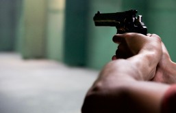 Could Serial Assassins Trigger Real Violence?