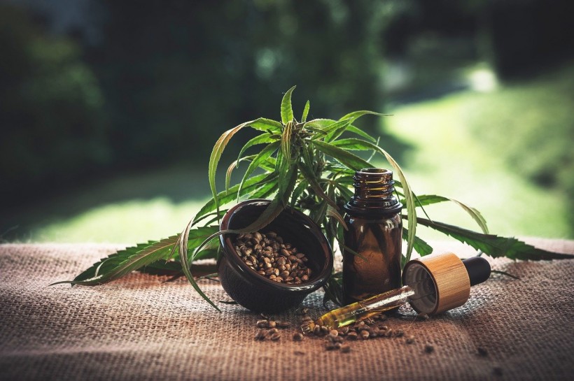 CBD and Human's Health: Pros and Cons