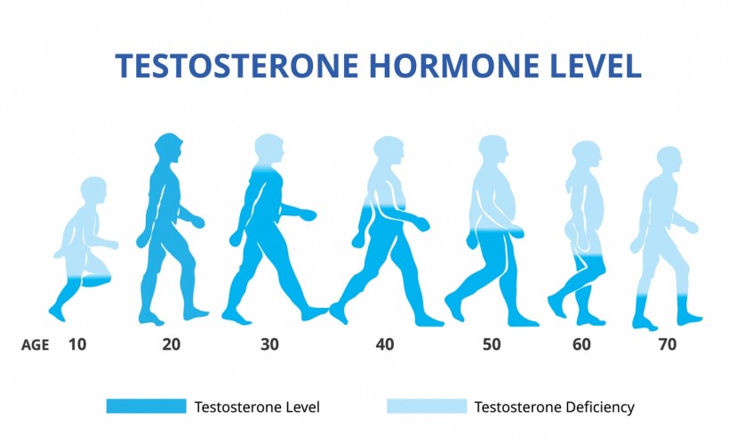 Testosterone hormone levels chart,