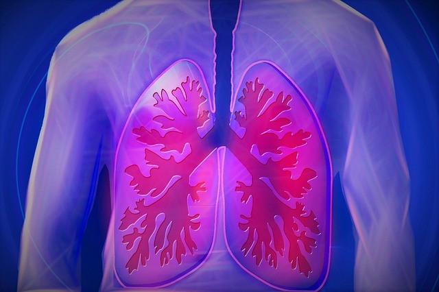 How Does Coronavirus Fatally Affect the Lungs, Even Killing Intubated Patients?