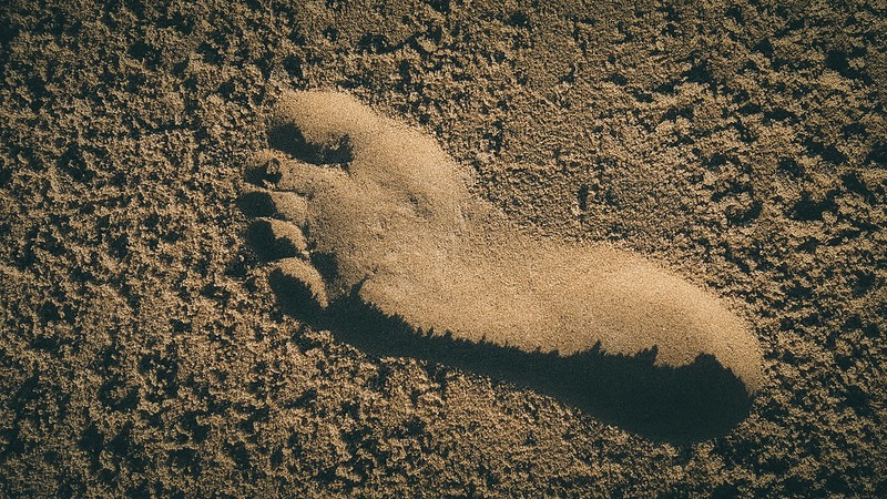 Humankind's Earliest Days Revealed Modernized Communities, Reflected in Fossilized Footprints