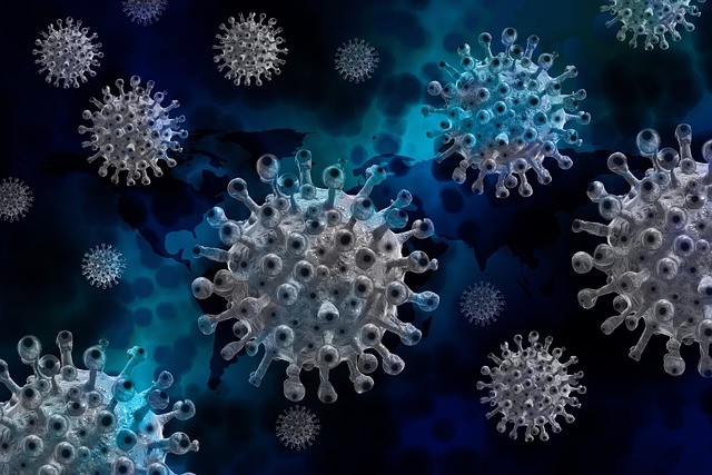  https://pixabay.com/illustrations/corona-coronavirus-virus-covid-19-5401250/