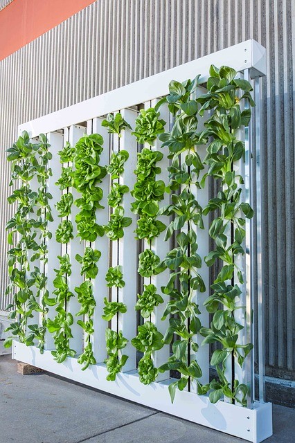 Cure or Curse? Colbeck Capital Management on How Vertical Farming Might Change the World