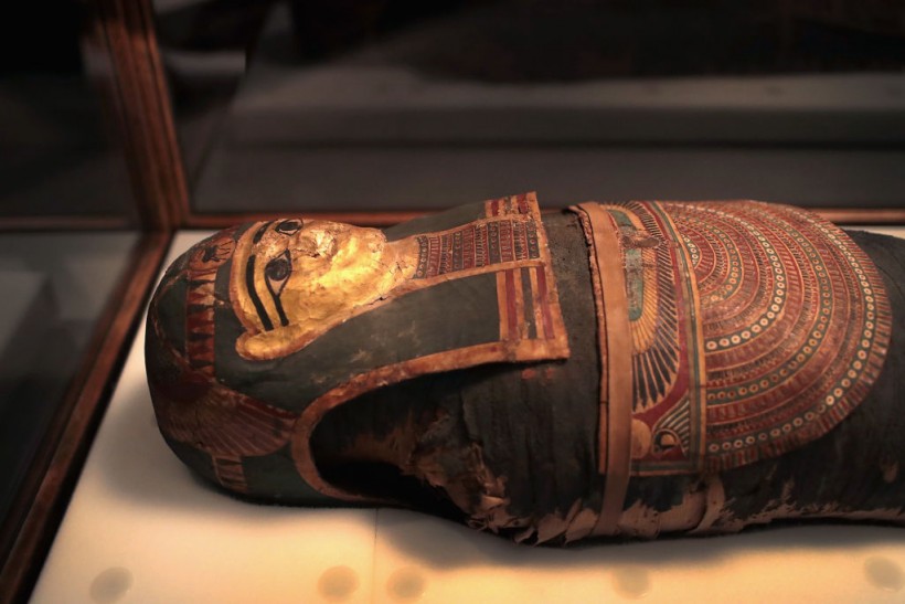 Researchers discovered first First-known pregnant mummy found in Male Priest’s Sarcophagus