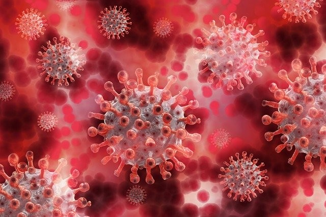 The Controversial Theory that the COVID-19 Virus Came from a Lab is Not Impossible, Says Expert 