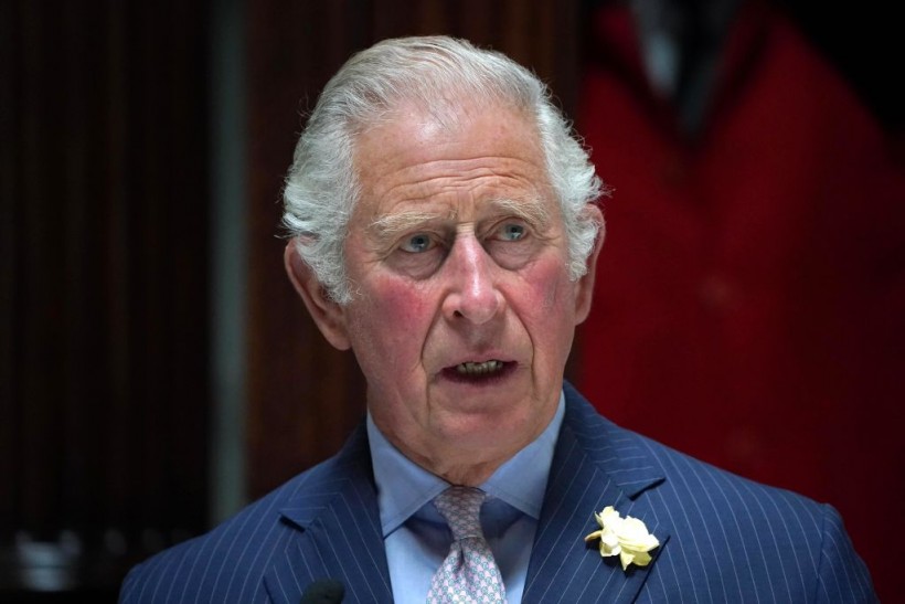 Expert Says Prince Charles Makes "Clumsy" Mistake With Archie as Friends Reveal Why He Refuses to Attend Diana's Statue Unveiling