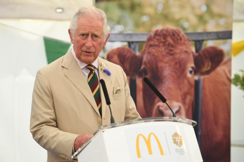 Prince Charles' Charity Launches Investigation Into "Cash For Access" Allegations