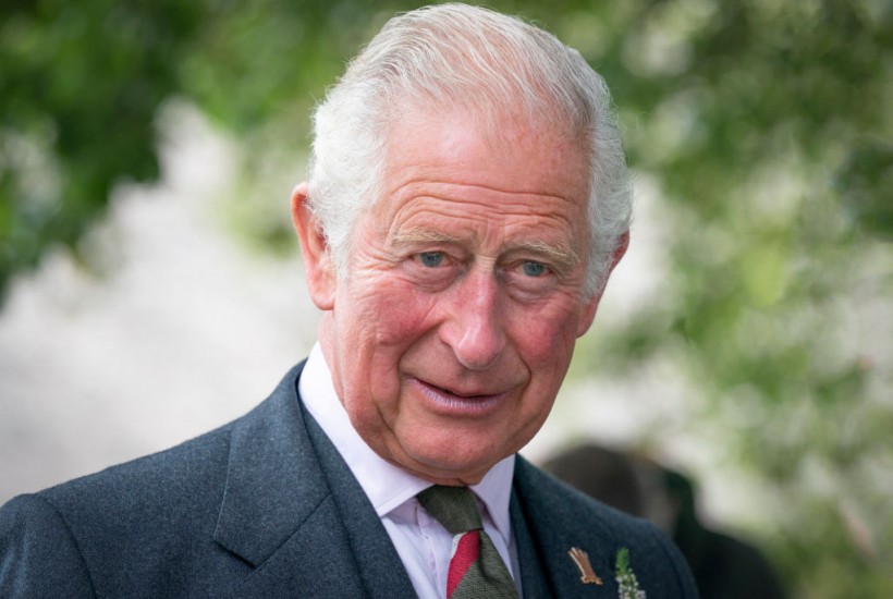 Prince Charles Hit With New Accusations of Intending to Meet Russian Donor After Receiving $740,000 Gift