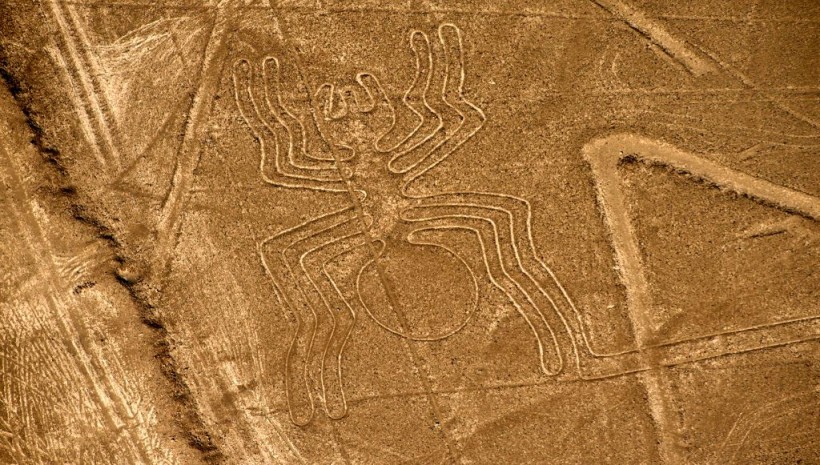 The  4,000 Year-Old Bull Geoglyph in Russia Outdates Other Ancient Monuments by Several Thousand  Millennia Causes A Stir Among Scientists 
