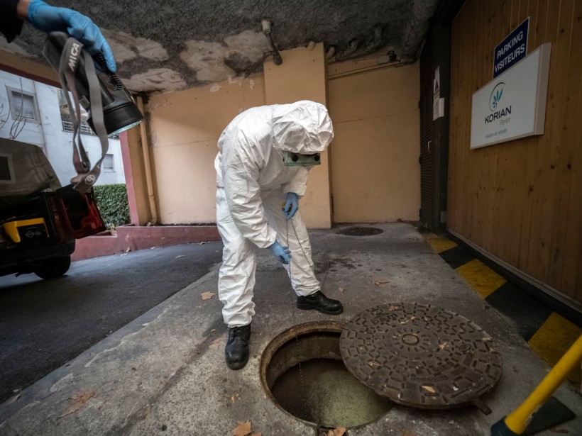 Rat-Borne COVID-19 Variant Discovered in New York Sewage; Experts Raise Alerts That Virus May Circulate Among Wild Animals