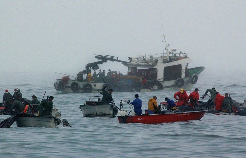 Spanish Fishing Boat Sinks Off Canada Killing 7 as Search Continues for 14 Missing Crew