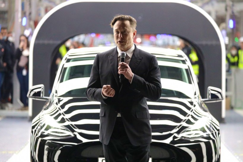 Tesla Bankruptcy Threat: Elon Musk Sounds Alarm Over Nightmarish Losses in Past 2 Years