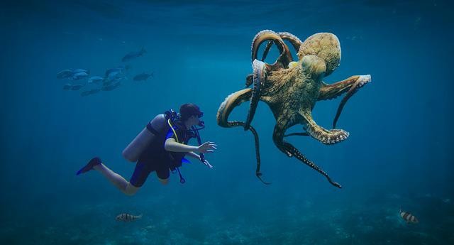 Humans, Octopus Share Similar 'Jumping Genes' That Affect Evolution, Study Discovers