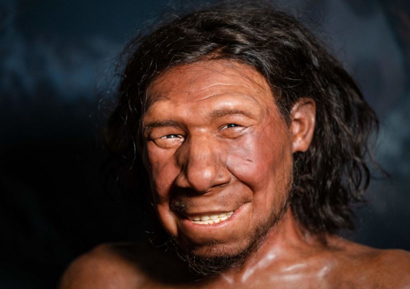 50,000-Year-Old-DNA Belongs To Neanderthal Family Discovered in Siberia
