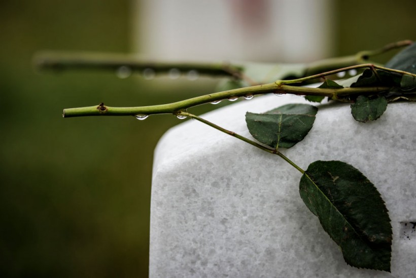 Memorial Day Honored At Arlington National Cemetery