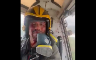 Airplane Bird Strike Video Now Going Viral! Pilot Unfazed by the Incident