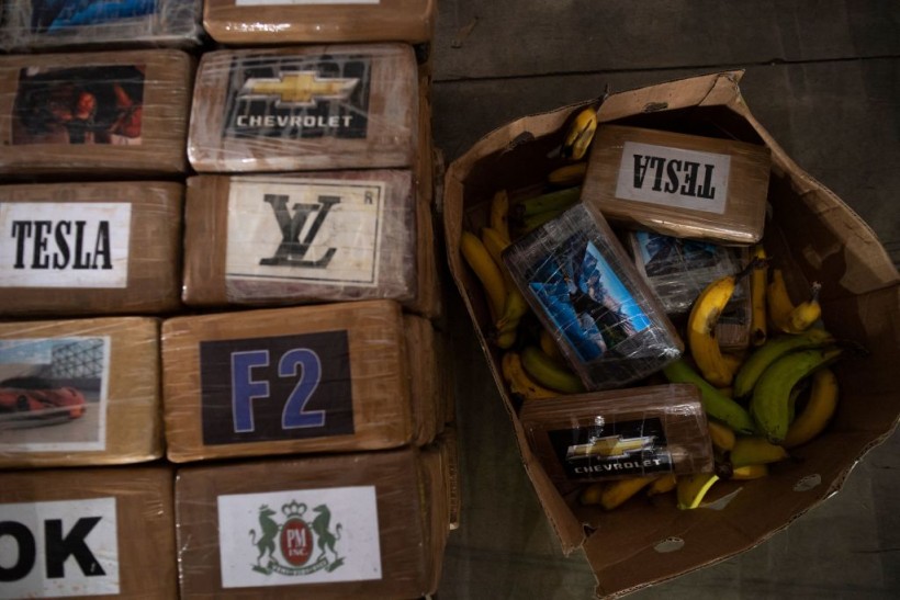 Spain Seizes Largest Cocaine Haul with 9.5 Tons Hidden in Banana Shipment From Ecuador