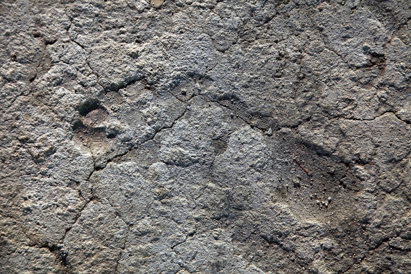 Ancient Footprints Discovered as Evidence Humans Arrived Earlier in Americas Than Previously Thought