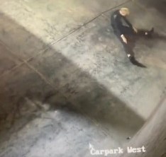Flexible Burglar Caught Doing Yoga on Security Footage Before Bakery Break-In