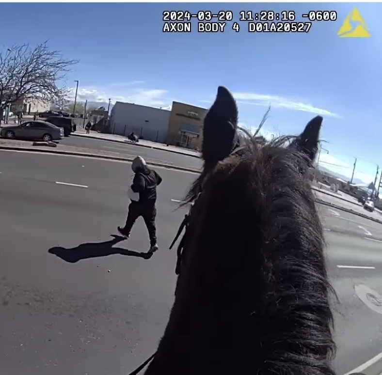 Albuquerque Mounted Unit Catches Shoplifting Suspect