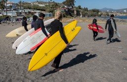 Surfers killed