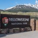 Yellowstone National Park Shooting